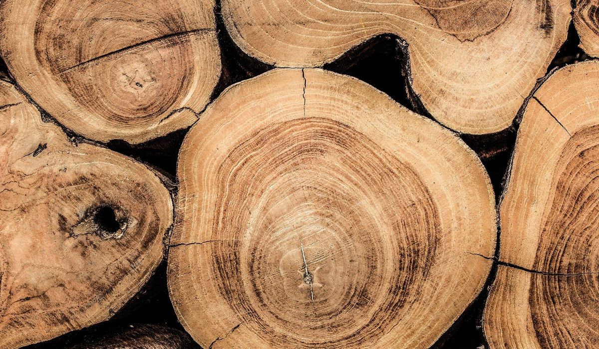gloster-teak-gold-standard-blog-logs