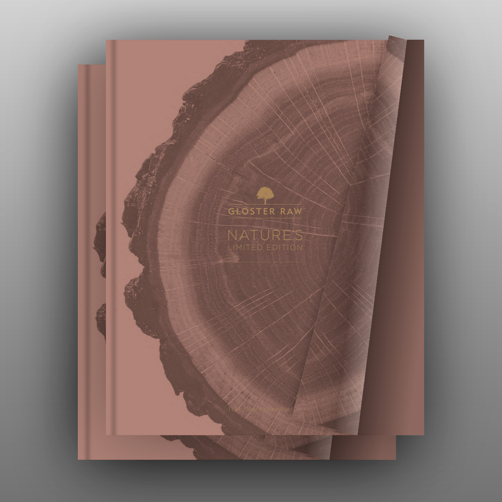 2025-raw-brochure