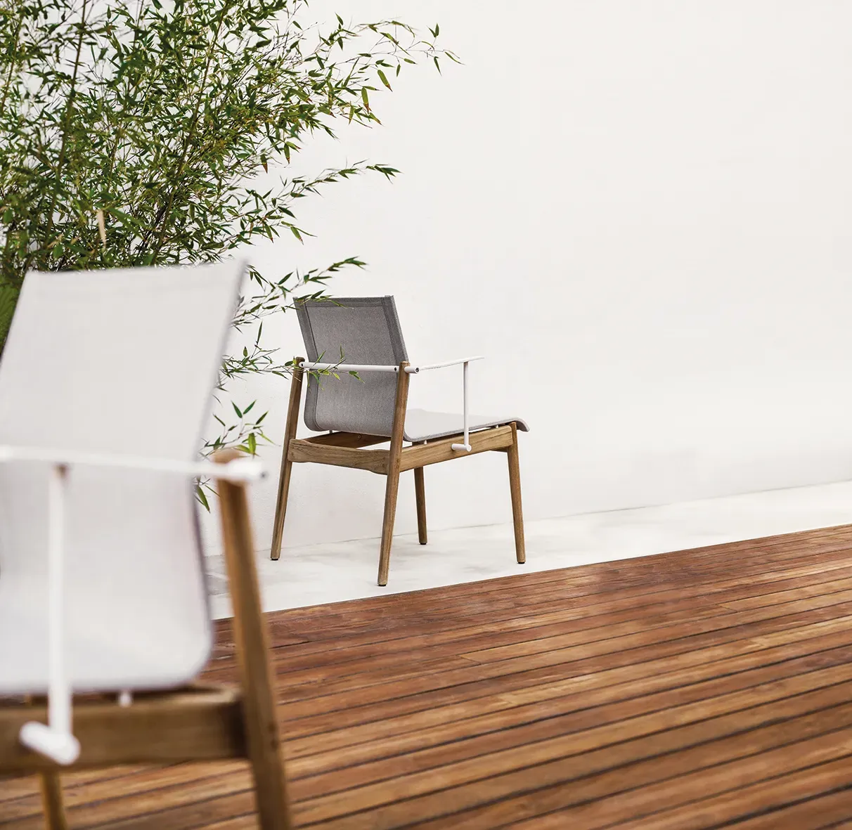 sway teak chairs