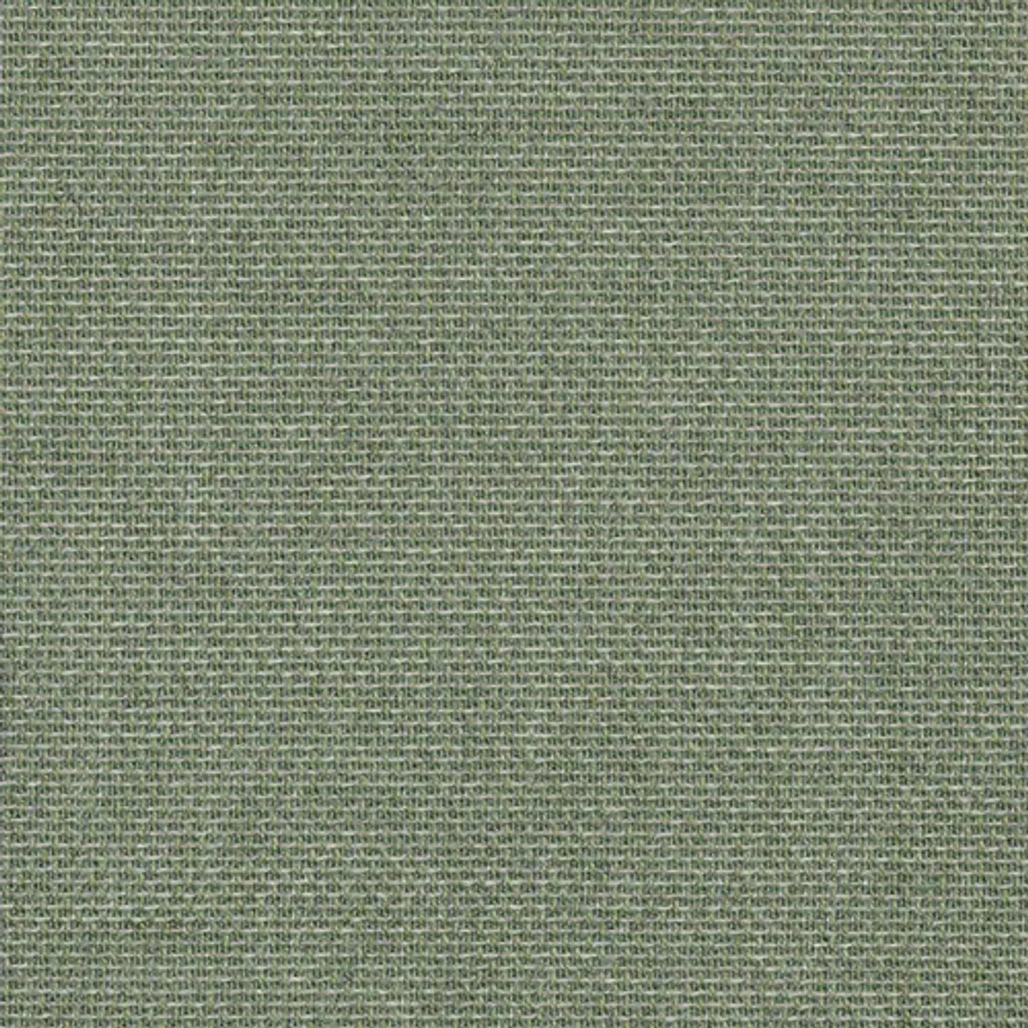 Essential Leaf