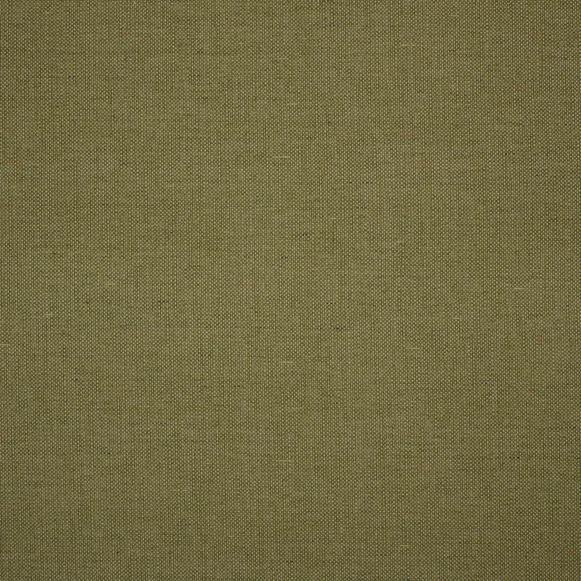 Ground Grass