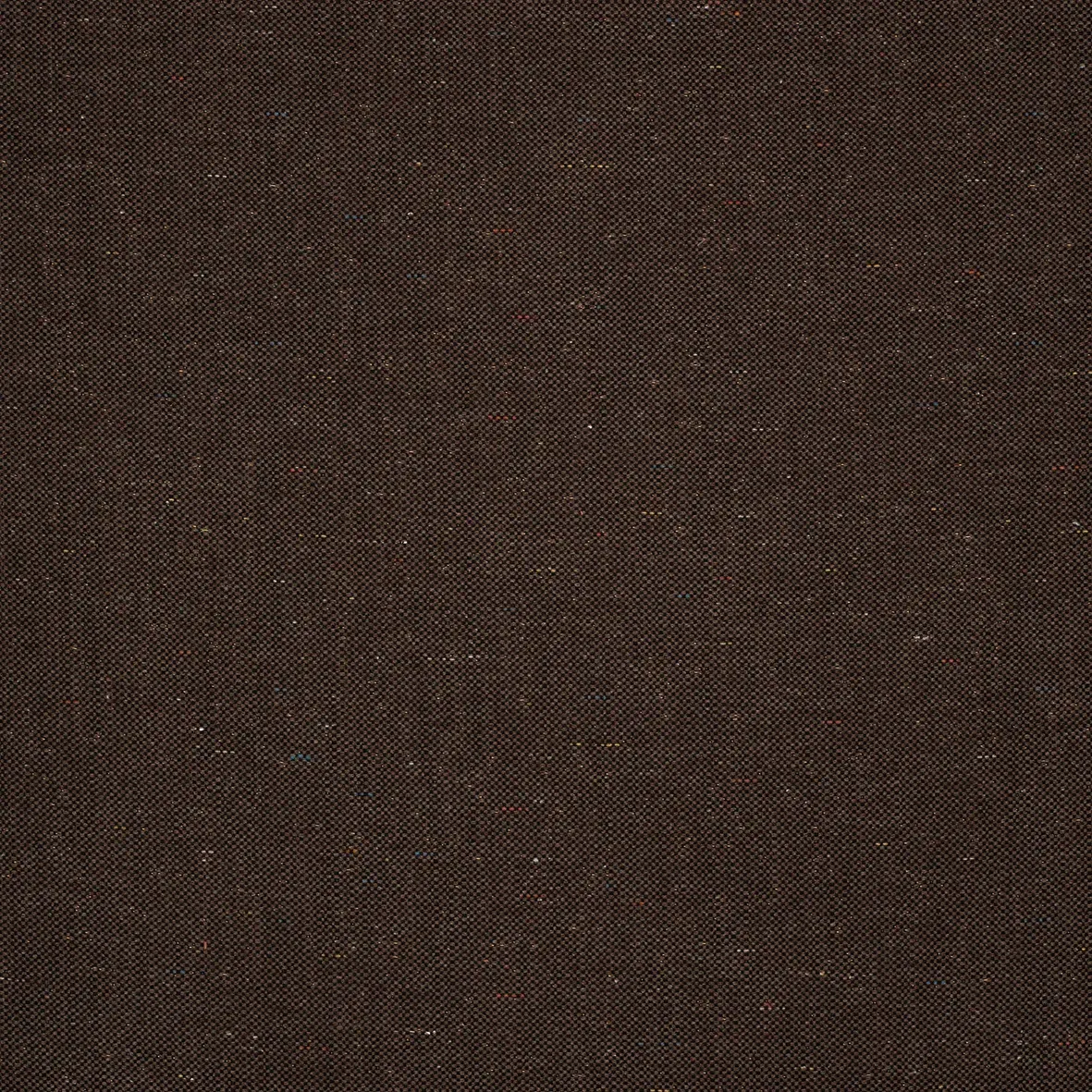 Ground Mink