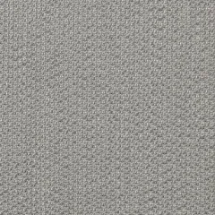 Lopi Silver