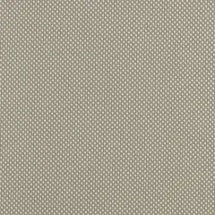 Robben Grey