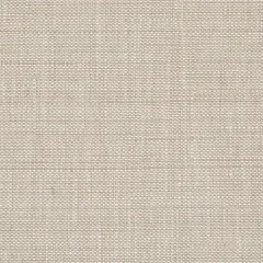 Willa Parchment