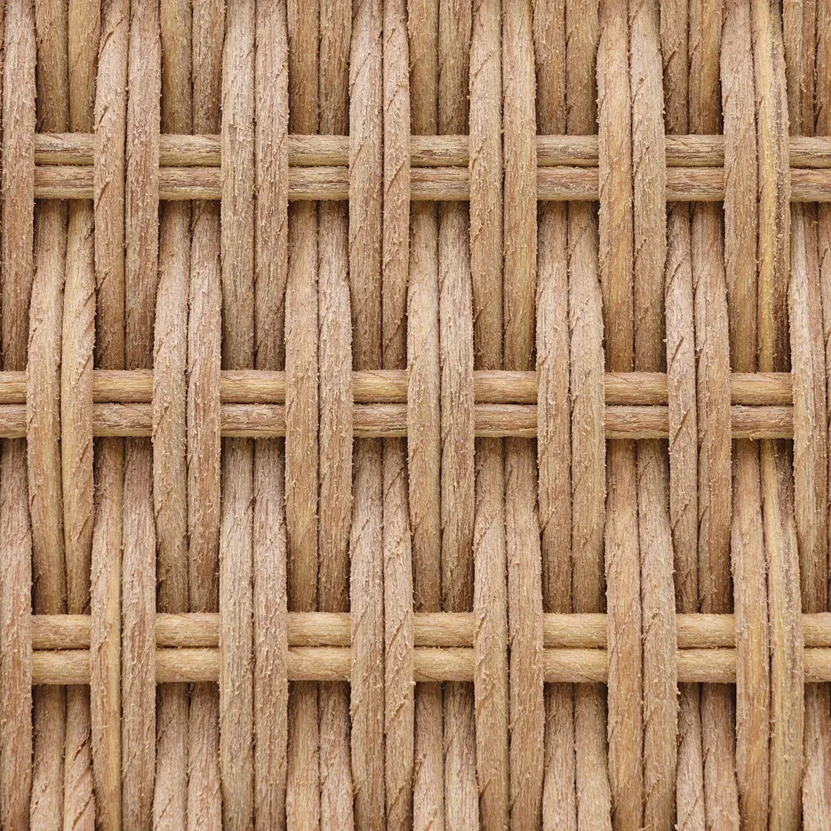 Wheat