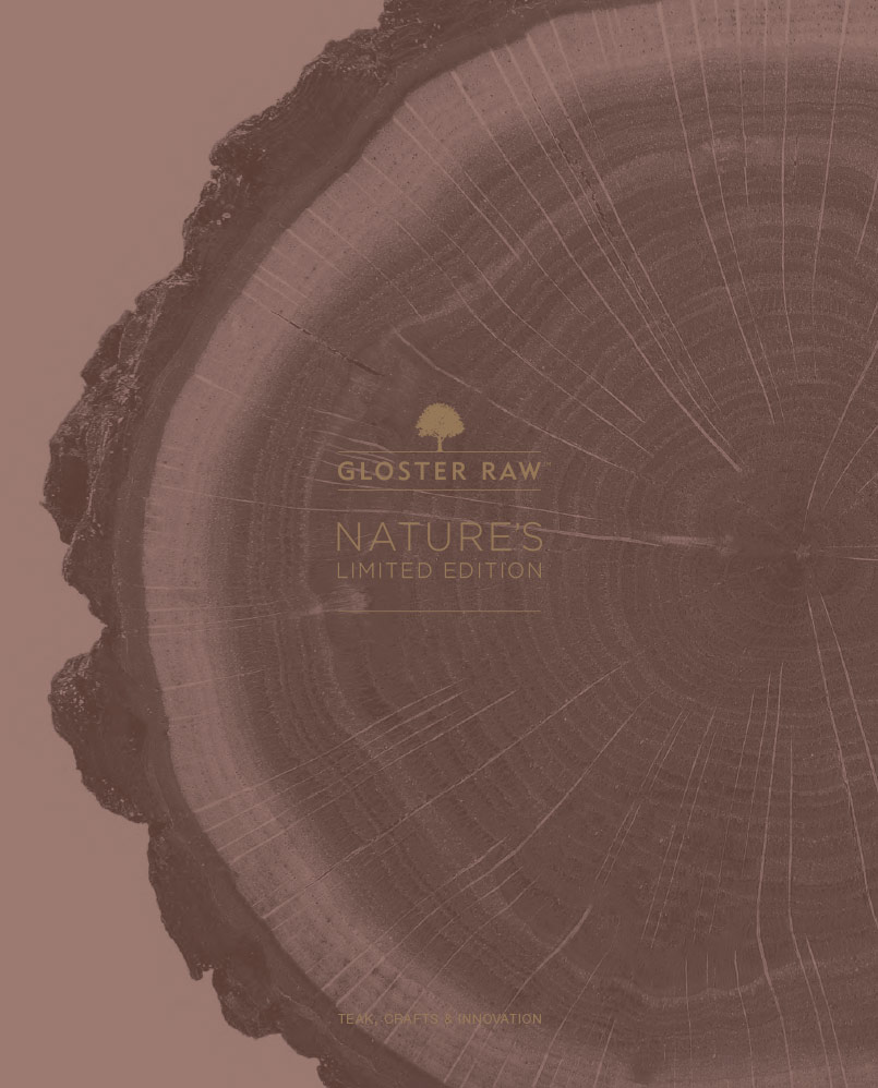 View the 2025 RAW BROCHURE